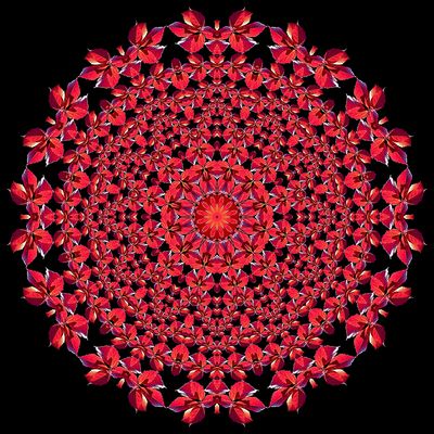 g13/54/24354/3/173120008.00b7f7a5.JPEG