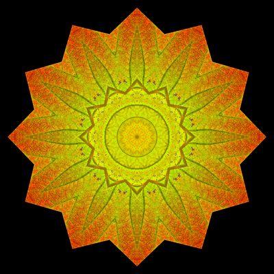 Kaleidoscopic picture created with an autumn leaf seen in November