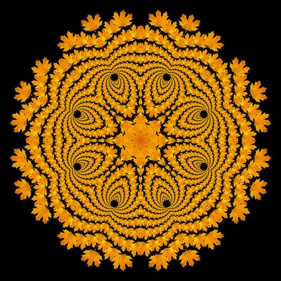 Evolved kaleidoscopic picture created with a maple leaf seen in November