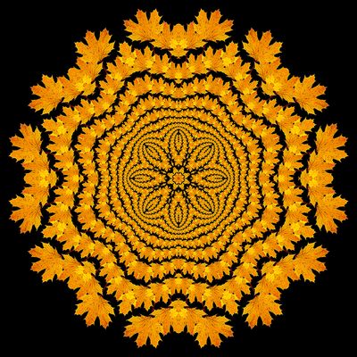 Evolved kaleidoscopic picture created with a maple leaf seen in November