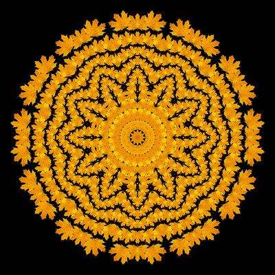 Evolved kaleidoscopic picture created with a maple leaf seen in November