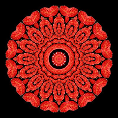 Evolved kaleidoscopic picture created with an autumn leaf