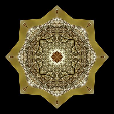 Kaleidoscopic picture created with frost-covered leaf seen 15th February