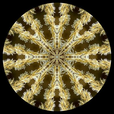 Kaleidoscopic picture created with frost-covered grass seen 15th February