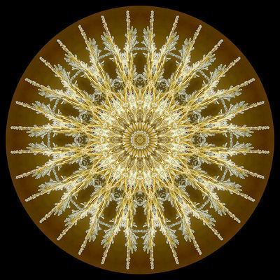 Kaleidoscopic picture created with frost-covered grass seen 15th February