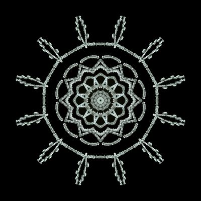 Kaleidoscopic picture created with frost-covered spiderweb seen 15th February