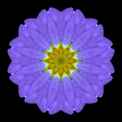 Kaleidoscopic picture created with a primula flower seen in March