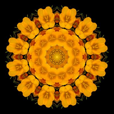 Kaleidoscopic picture created with a crocus flower seen in March