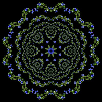 Evolved kaleidoscope created with a wildflower seen in March