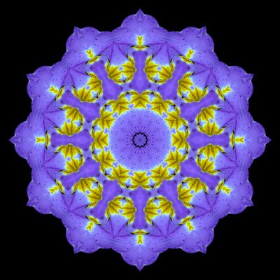 Evolved kaleidoscope created with a primula flower seen in March