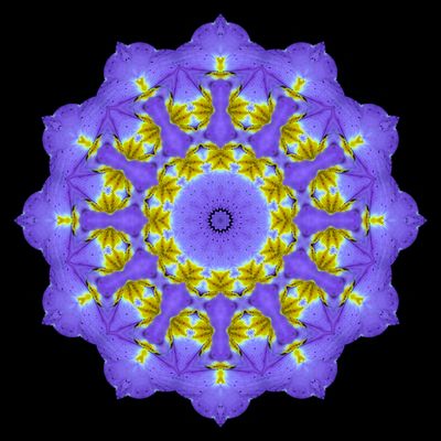Evolved kaleidoscope created with a primula flower seen in March