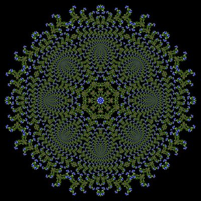 Evolved kaleidoscopic picture created with a wildflower seen in March