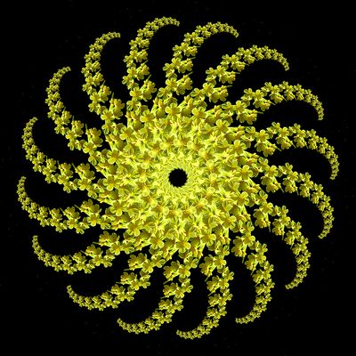 Spiral creation with a wildflower seen in the forest in March