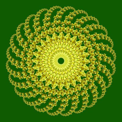 Spiral creation with a wildflower seen in the forest in March
