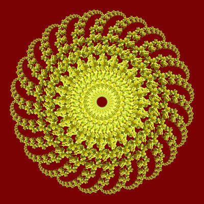 Spiral creation with a wildflower seen in the forest in March