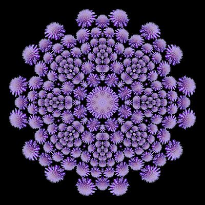Evolved kaleidoscope created with a blue wildflower
