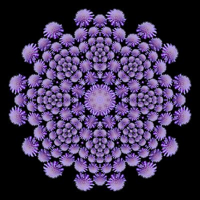 Evolved kaleidoscope created with a blue wildflower