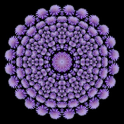 Evolved kaleidoscope created with a blue wildflower