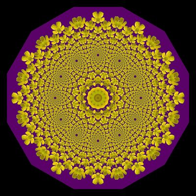 Evolved kaleidoscope created with a yellow wildflower