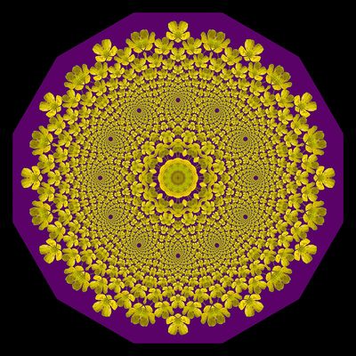 Evolved kaleidoscope created with a yellow wildflower