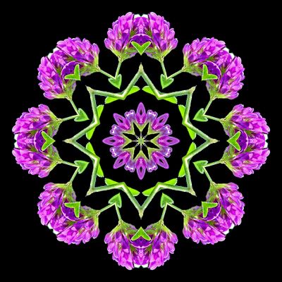 Kaleidoscopic picture created with a wildflower seen in early October