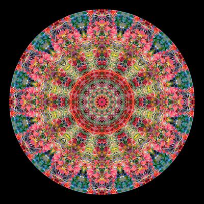 Kaleidoscopic picture created with autumn bush photography