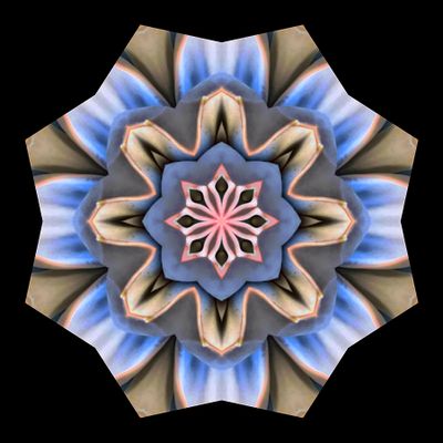 Kaleidoscopic creation done with a picture of an indoor plant seen in a flower shop