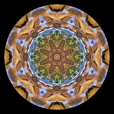Kaleidoscopic creation done with a picture of an indoor plant seen in a flower shop