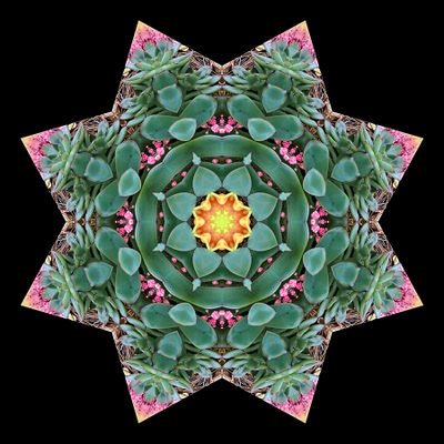 Kaleidoscopic creation done with an arrangement seen in a flower shop