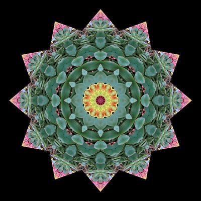 Kaleidoscopic creation done with an arrangement seen in a flower shop