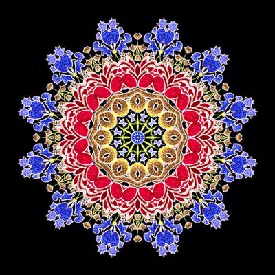 Kaleidoscopic picture created with a flower patern that was printed on a black T-shirt