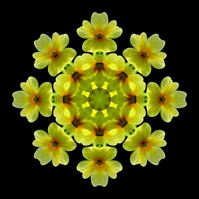 Kaleidoscopic picture created with a Primula Veris wildflower
