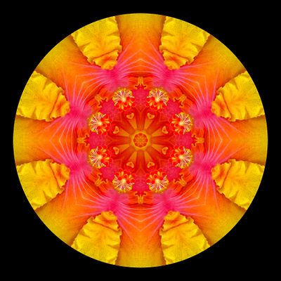 Kaleidoscopic picture created with a hibiscus flower