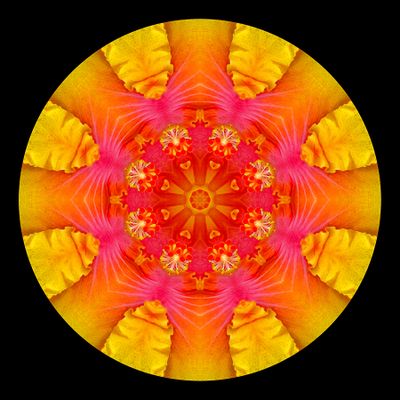 Kaleidoscopic picture created with a hibiscus flower