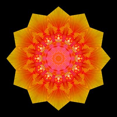 Kaleidoscopic picture created with a hibiscus flower