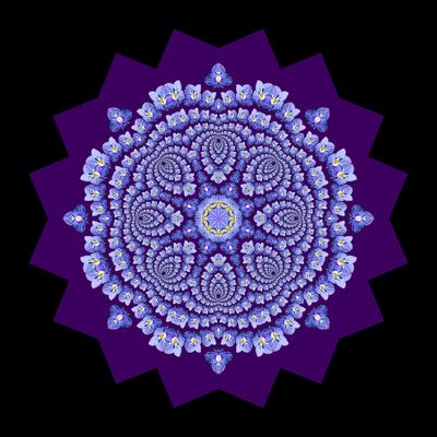 Evolved kaleidoscopic picture created with a wildflower