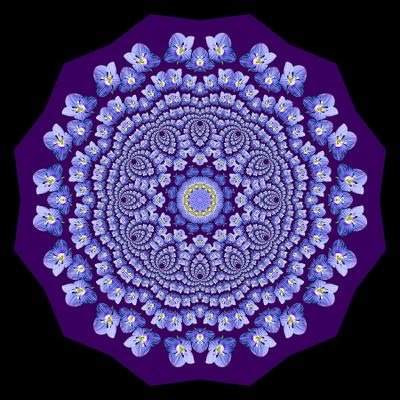 Evolved kaleidoscopic picture created with a wildflower