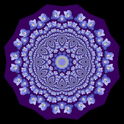 Evolved kaleidoscopic picture created with a wildflower