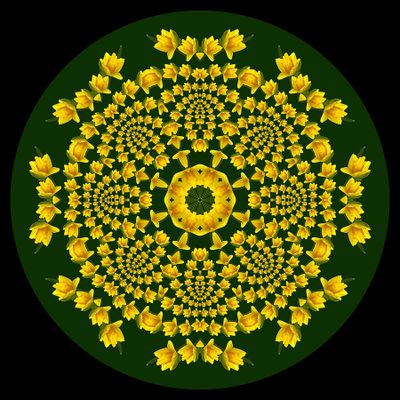 Evolved kaleidoscopic creation with a springflower