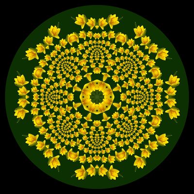 Evolved kaleidoscopic creation with a springflower