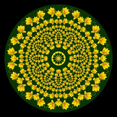 Evolved kaleidoscopic creation with a springflower