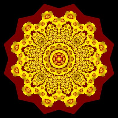 Evolved kaleidoscope created with a tulip flower