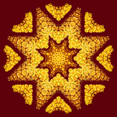 Kaleidoscopic picture created with a pollen bud