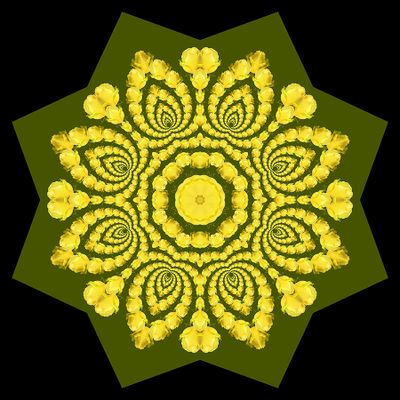 Evolved kaleidoscopic creation with a yellow rose