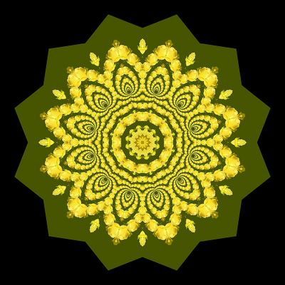 Evolved kaleidoscopic creation with a yellow rose