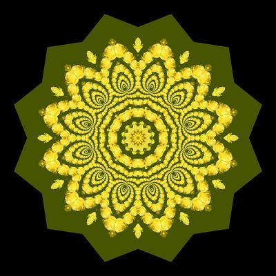 Evolved kaleidoscopic creation with a yellow rose