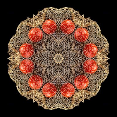 Kaleidoscopic picture created with a dry flower