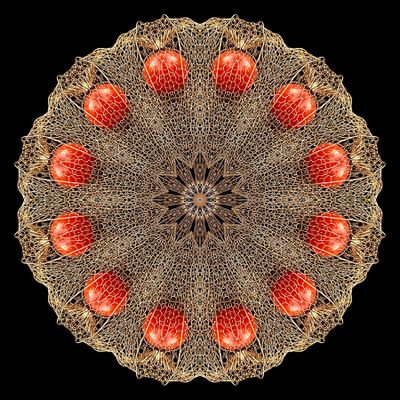 Kaleidoscopic picture created with a dry flower