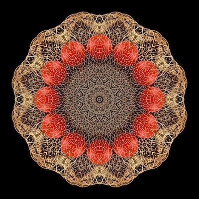 Kaleidoscopic picture created with a dry flower