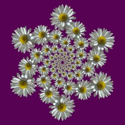 g13/54/24354/3/174427764.4aa13aa5.JPEG